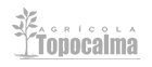 topocalma